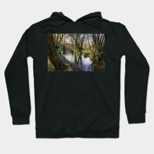 The River Pang at Tidmarsh Hoodie